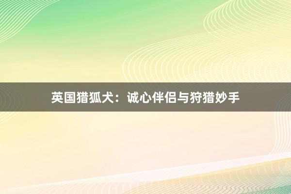 英国猎狐犬：诚心伴侣与狩猎妙手